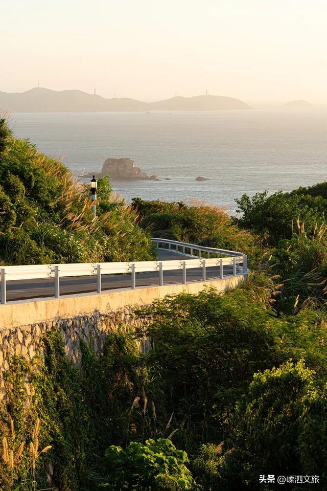 冬日寡淡？NO！看，花鸟岛的缤纷藏不住啦！