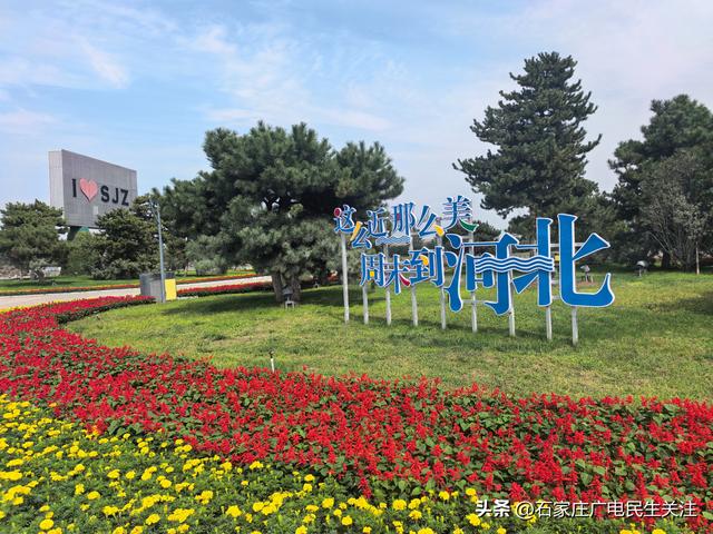 十一漫游滹沱河：乘滹沱河观光线，赴一场河湖与秋风的约会