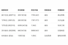 总价1.09亿！擅长潜伏ST股的牛散魏巍，通过司法拍卖入局杉杉股份图片