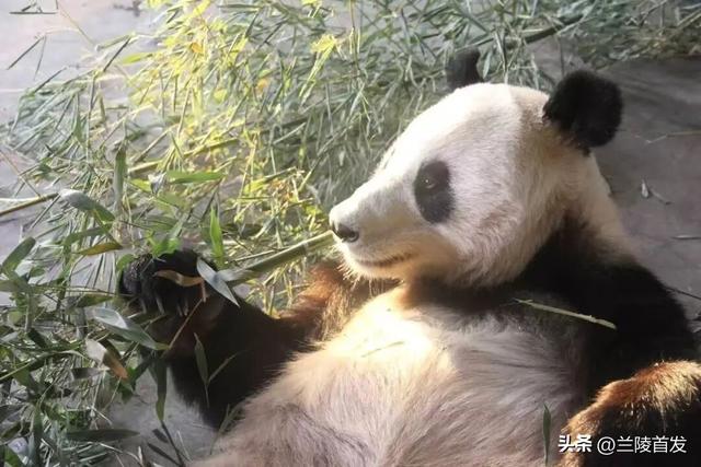 好客山东好品山东｜临沂遛娃去哪儿？初冬攻略收藏就出发～