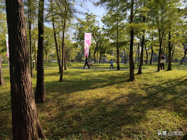 莲花山公园的冬季