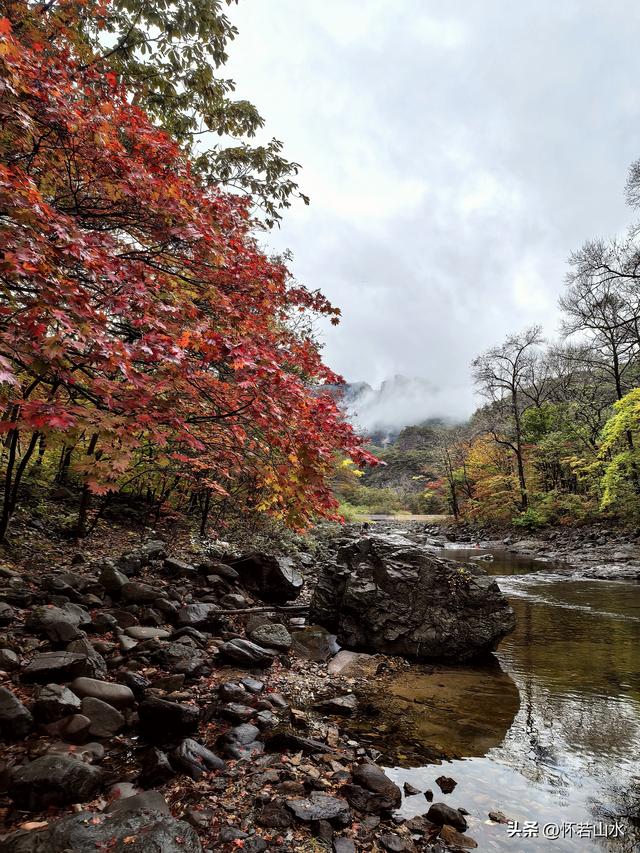 2025辽宁赏秋之旅日记(2)——游览丹东蒲石河森林公园