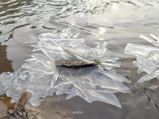 这样的哈尔滨，你见过吗？