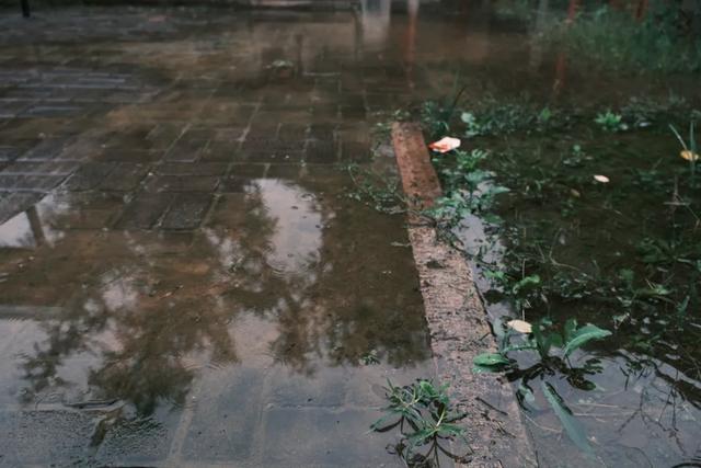 博山连续13天降雨竟泡出千年古泉！连县志都没记载其名
