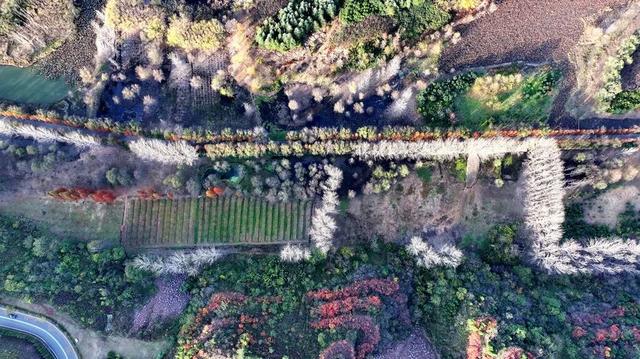 孟津区：黄河小浪底下游河岸别样冬韵