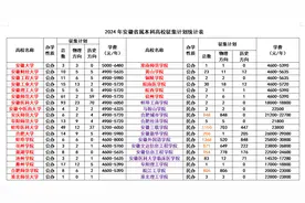 安徽多所民办本科高校征集计划800人以上，民办高校遭遇集体寒冬图片