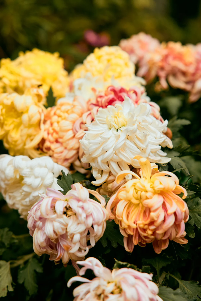 神图有了！在龙苍沟，出片还不是手拿把掐