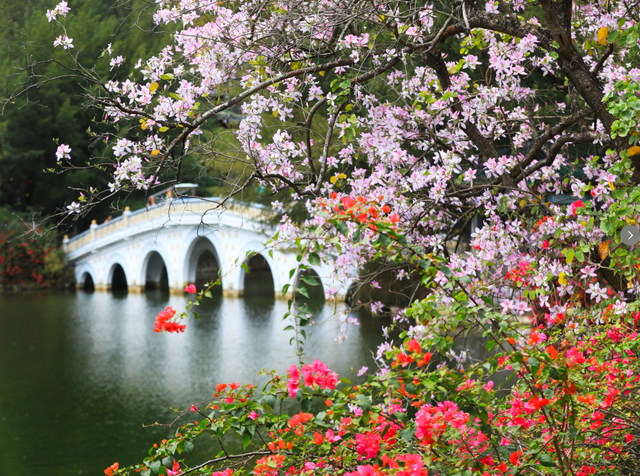 最新优惠！肇庆两大景区免票，面向此类人群→