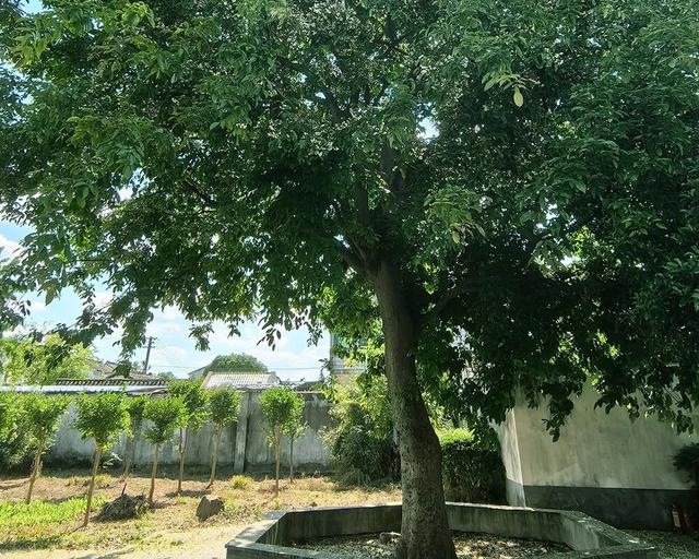 苏州十大“寿星”出炉！