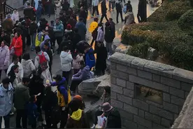 天津这个公园曾是国家4A级，武清却没用好图片