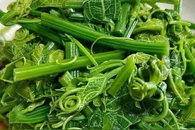 “越吃越瘦”的6种食物，瘦腰细腿平肚子，清肠刮油，好吃不贵图片