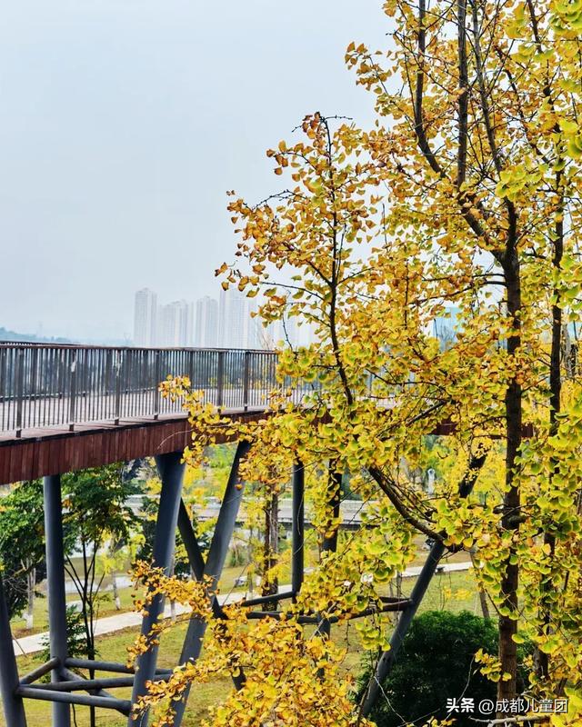 成都公园地图丨晒太阳不打挤的20个公园,东南西北全覆盖