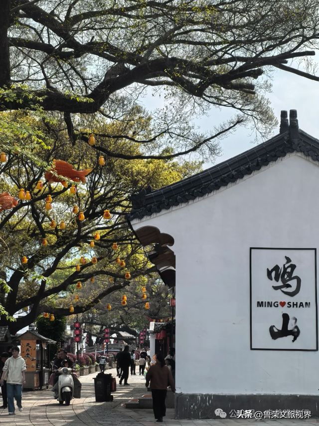 人少景美的宝藏小县城：藏着绝美海岛，一半草原一半海