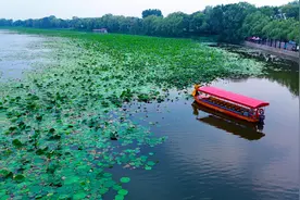 新民市第二十三届荷花旅游文化节暨“鱼与自然”文化节开幕图片