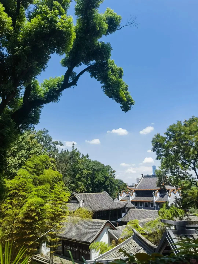 走了一圈有话要说：长沙和南昌，同是省会大城市，感受太不一样！