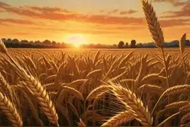 三角洲行动的大概故事背景图片