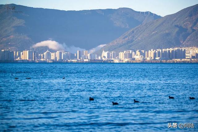 洱海的湿地公园很多，这几座孤岛风景不错，只是唯一的浮桥太晃荡
