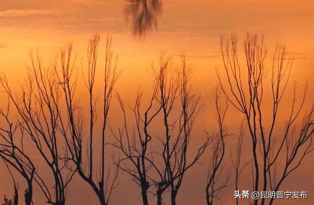 滇池南岸 浮光跃金