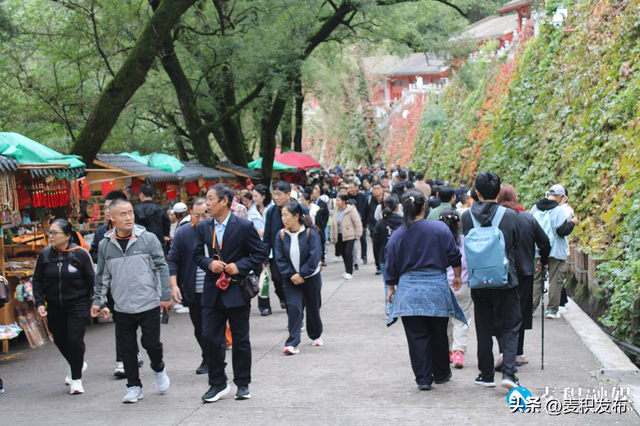 【多彩“双节” 畅游麦积】麦积山大景区国庆假期“热”力全开：雨晴交替景不同，两日迎客近5万人次