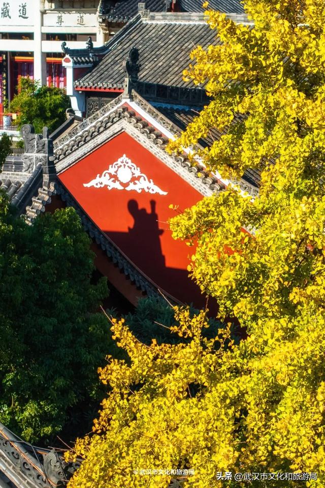 限时绝美！武汉街头颜值巅峰，地铁直达