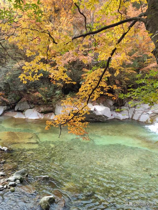 晨光下，米仓山的秋色在眼前一点点展开