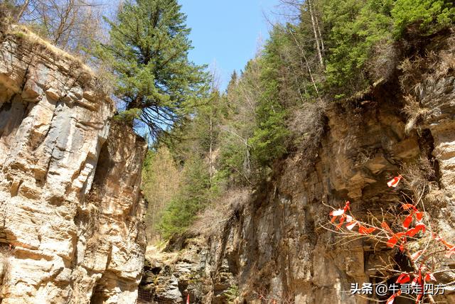 山西宁武石门悬棺：万仞崖龛藏古柩、千年石棺映翠岚
