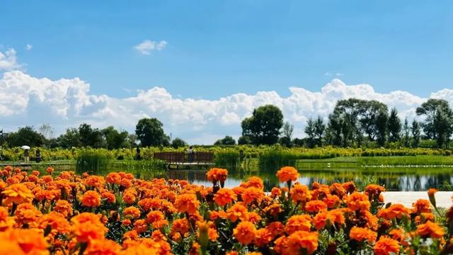 央媒看赛罕 | 快看,这里被多家央媒关注!