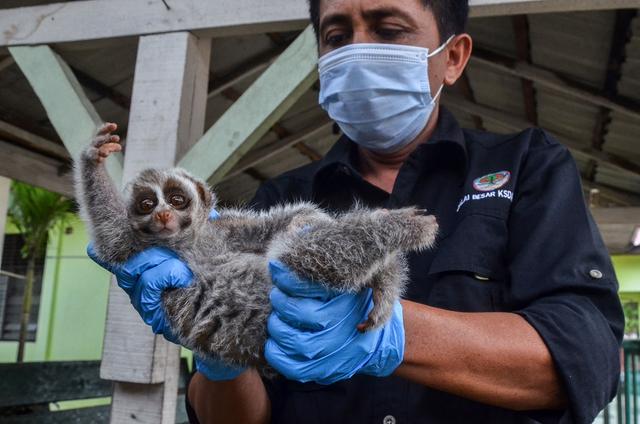 被锁暗室6年：剃毛穿丝袜当玩物，惨状撕开人类伪善面具