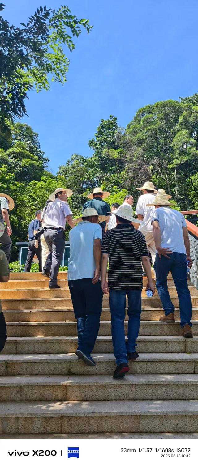 莆阳福道15处景观串成线，线上挂着历史与文化