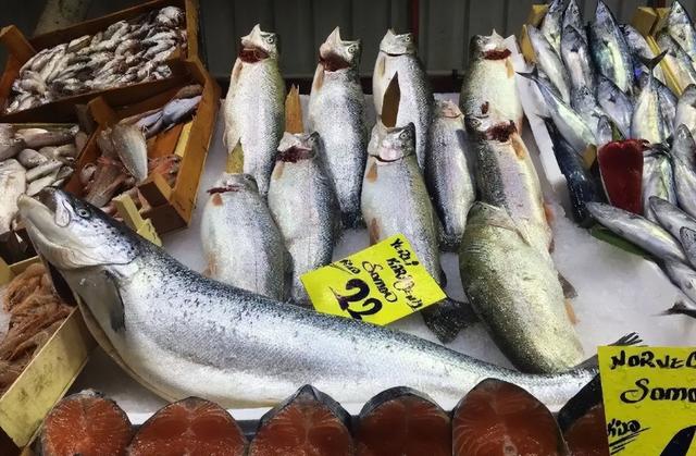 中方换上新打法，连断日本3条财路，高市报复来了，自卫队将出兵