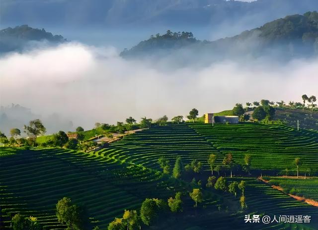 广西贵州边界藏了个“世界之最”县！知道的没几个，去了都傻眼！