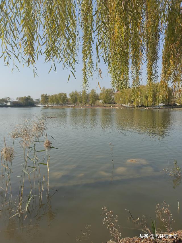 初冬游凤凰公园 || 王留记