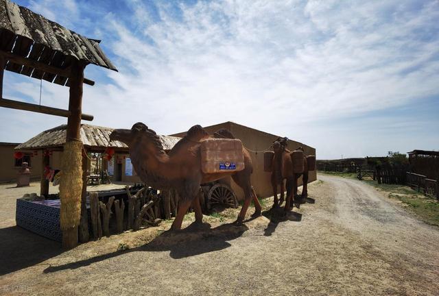 银川8大好玩景点，宁夏银川最值得去的景点推荐，看看你去过几个