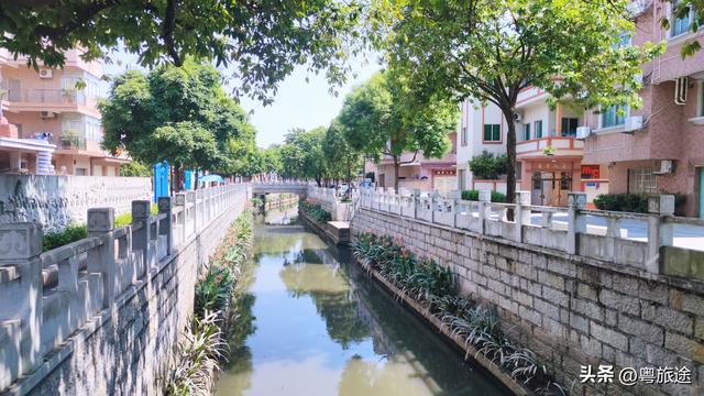东莞万江拔蛟窝村：白鸠化蛟的六百年传奇‌