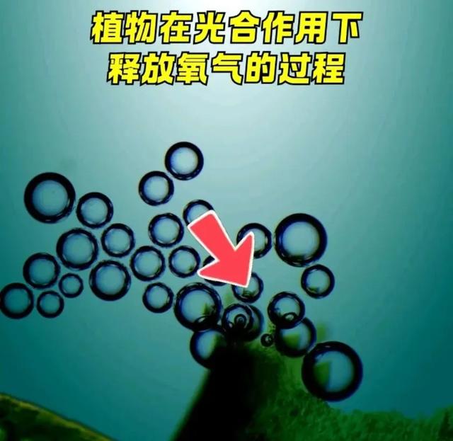 总质量约6000万亿吨，厚达数千公里，地球为何有这么厚的大气层？