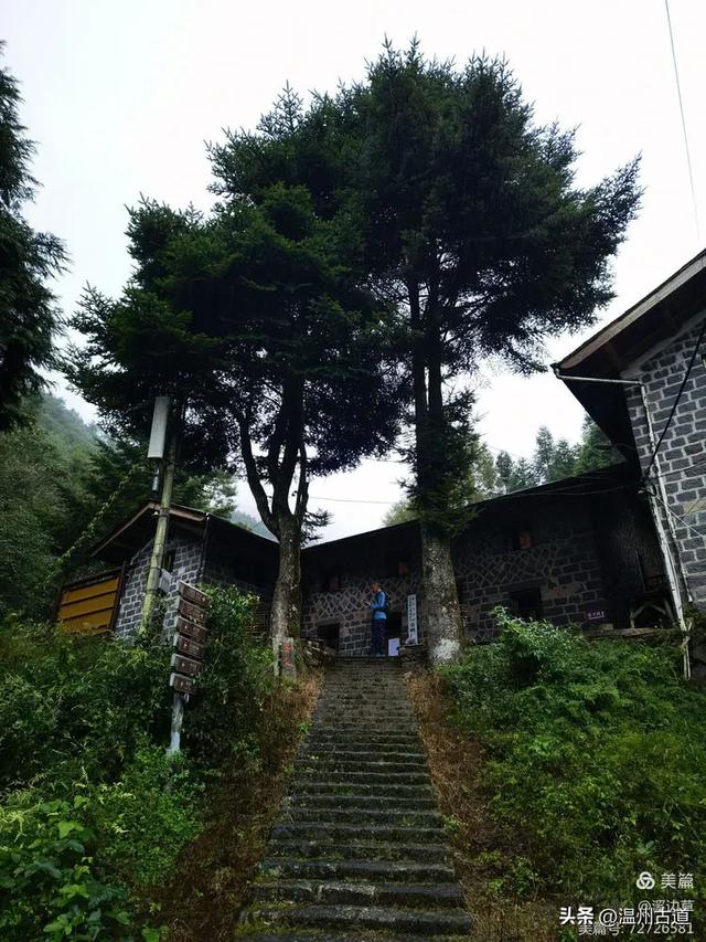 秋高气爽徒步季,浙南第一高峰等你走起!