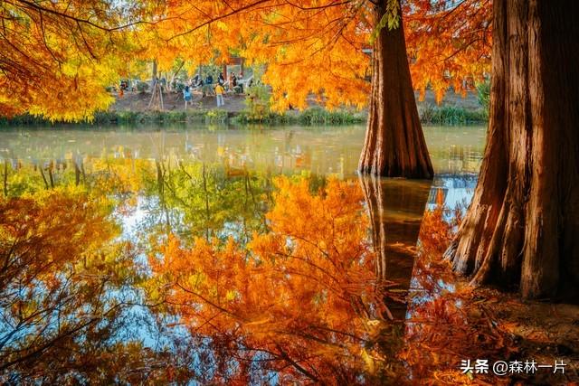 两性关系：女人多大岁数就不想男人了，过来人告诉你实情