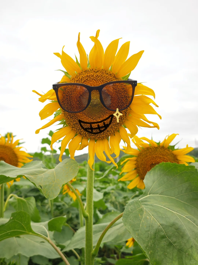 拿好这份初秋“寻色地图”，骑行解锁韶关的限定美景