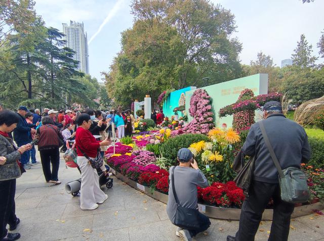 武汉金秋菊展之中山公园特色展