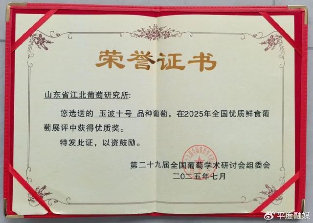 喜报！大泽山葡萄再获金奖！