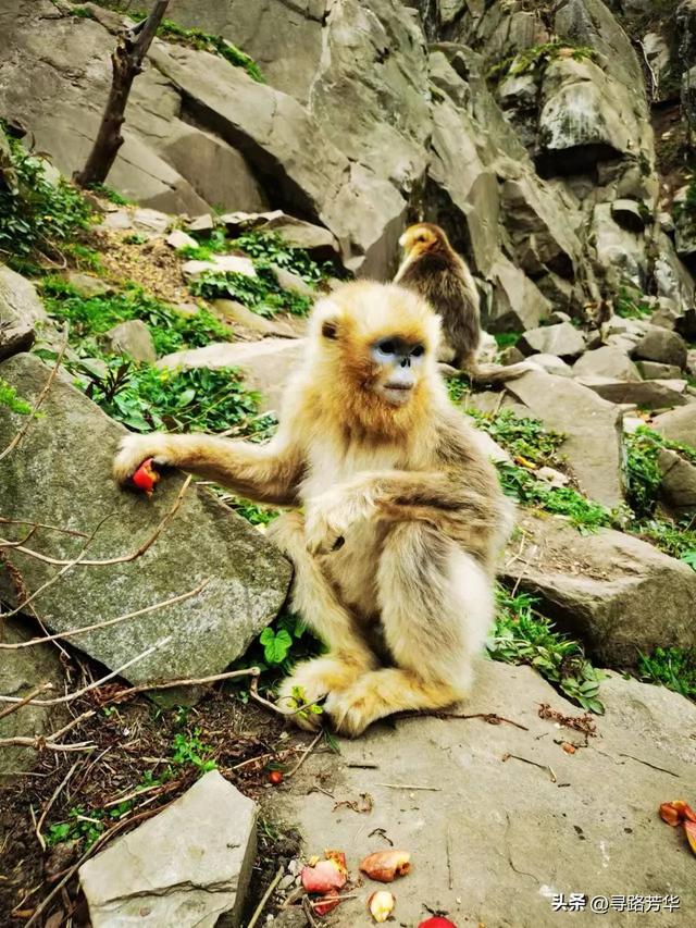 在陇南的夜色里,行走于白龙江畔