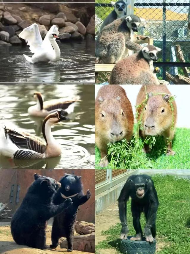 临沂“3.8”女神节必看｜免票+特惠+活动一键解锁