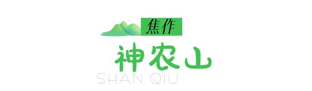 越过山丘，才发现河南早在此等候！