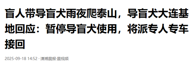 带导盲犬爬泰山后续！账号被扒，带狗到处旅游，基地回应大快人心