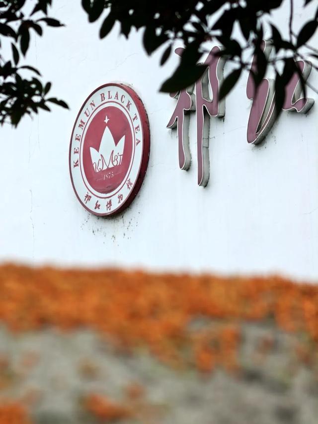 徽韵茶香，山水祁门——《中国国家旅游》深度采风祁门 | 皖美冬日 | 第十五届安徽国际文化旅游节