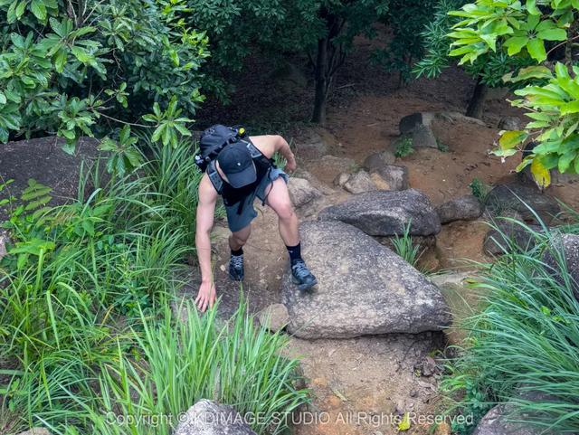 深圳徒步！超适合新手小白的3条郊野径路线，地铁公交直达还免费