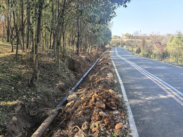 南京老山郊野一日徒步，从狮子岭兜率寺到汤泉惠济寺
