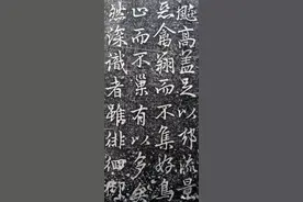 2024届宁夏兴庆中考一模 语文试题及答案图片