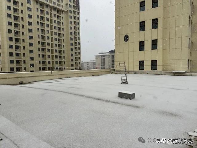 2025年冠县第一场冬雪