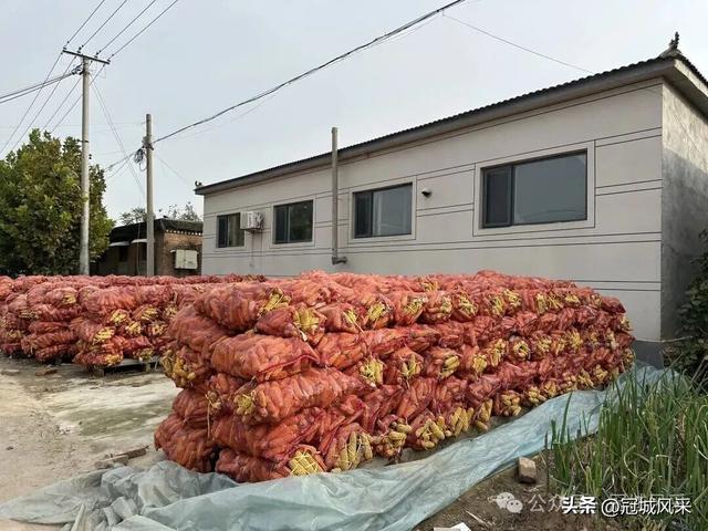 冠县乡韵·桑阿镇轧庄